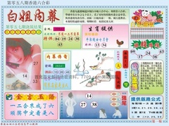 白小姐内幕A